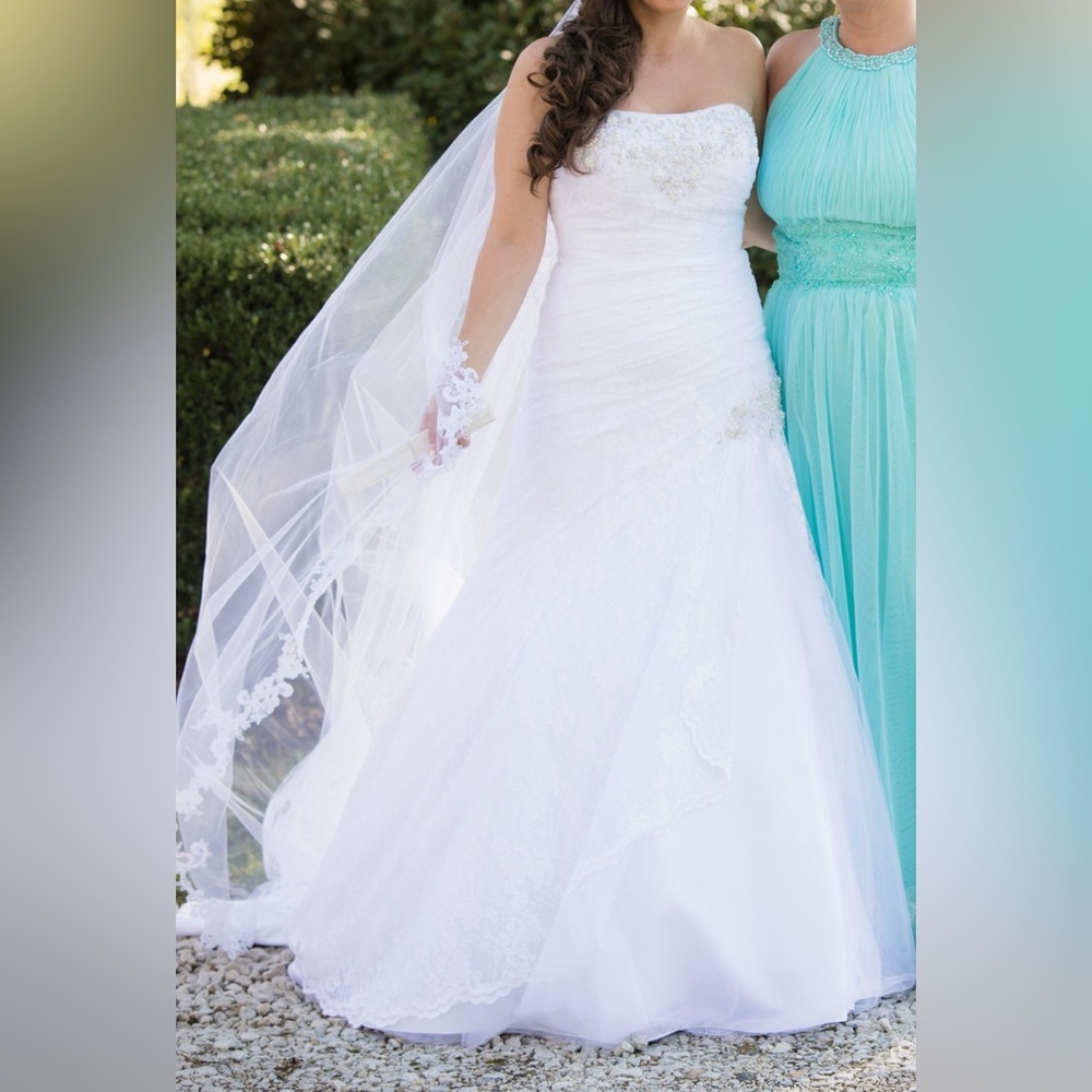 Wedding Dress and veil